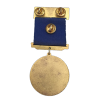 Médailles en métal émaillées gravées sur mesure avec placage or, design 3D, ruban, barre, badge de poitrine, souvenir, badges d'honneur