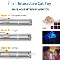 Di alta qualità USB ricaricabile puntatore di luce rossa giocattoli interattivi Chaser Laser penna gatto Teaser esercitatore giocattolo di formazione per gatti