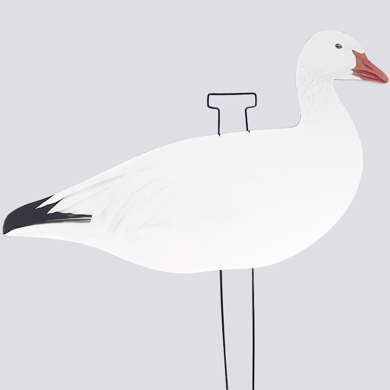 Ganso de nieve deoy blanco