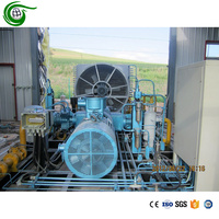 Compresor de Pistón de Helio de Alto Rendimiento y Diseño Profesional, Entrada de 10 Bares, Salida de 250 Bares, Flujo de 60 Nm3/min