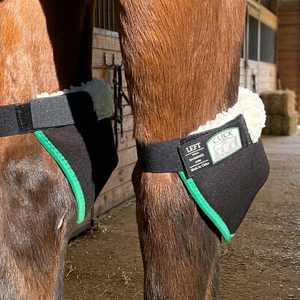 Protège-tibias thérapeutiques pour chevaux Click Hock Shield - Légers, résistants aux déchirures, en néoprène et polaire douce, haute élasticité - Product Image 2