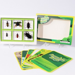 Kit Educativo de Ciencias Naturales con Insectos Taxidermiados en Resina Transparente para Material Escolar - Product Image 1