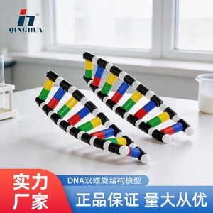 Modelo de Estructura de Doble Hélice de ADN de Qinghua, Modelo de Demostración de Biología para Escuelas Secundarias, Instrumentos para Experimentos de Enseñanza Genética - Product Image 5