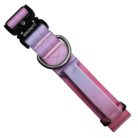 Collier pour chien en nylon rembourré personnalisé avec boucle en métal et anneau en D, design moderne, couleur et logo personnalisables, réglable et durable