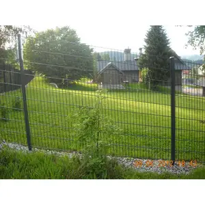 Экологически чистые конструкции забора, двойной проволочный забор 8/6/8, двойные проволочные сетчатые заборные панели