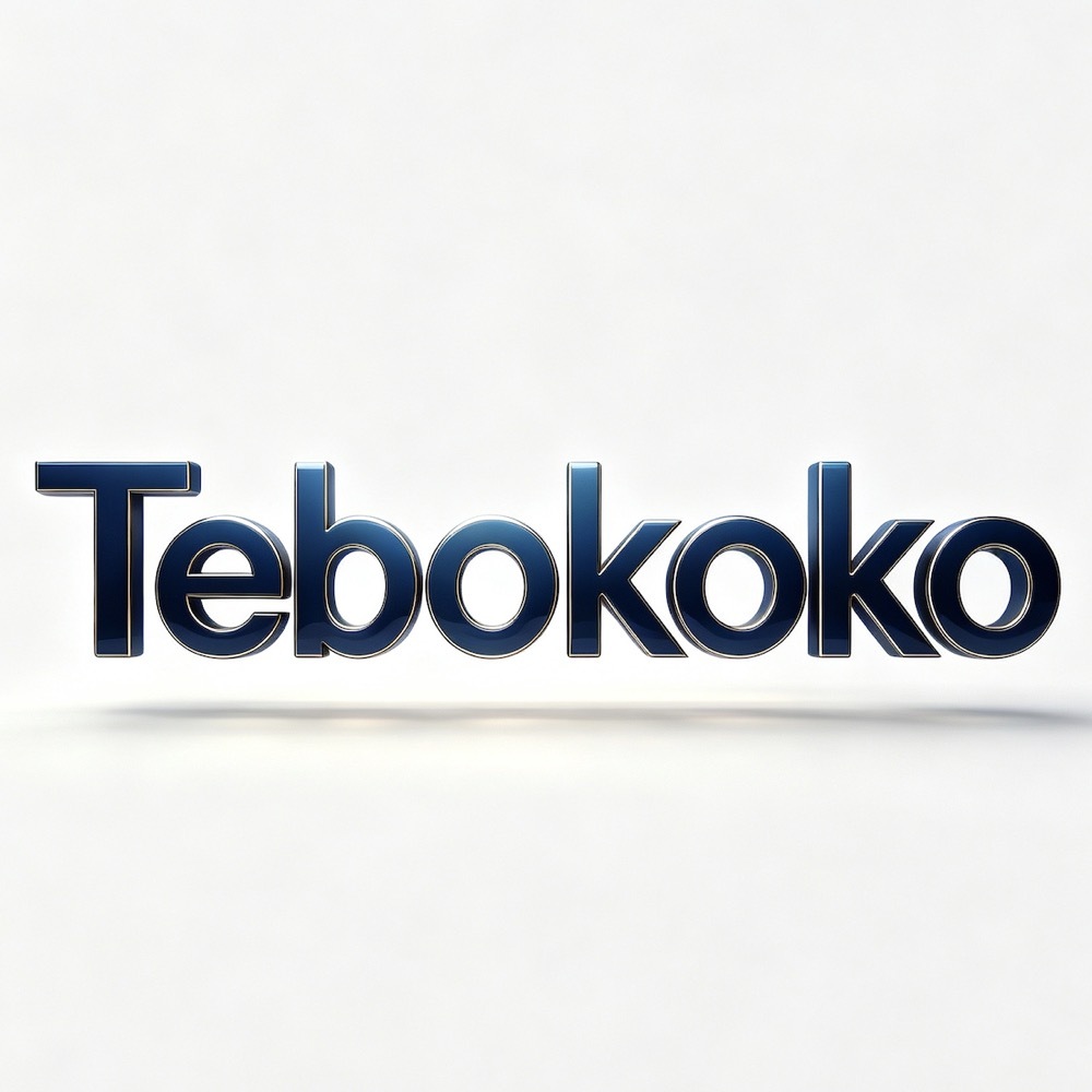 Guangzhou Tebokoko Electronic Technology Co., Ltd logo