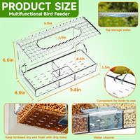 Alimentateur d'oiseaux transparent pour fenêtre extérieure, marque OEM, pour cage à oiseaux, avec ruban adhésif, pour l'exportation transfrontalière
