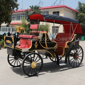Offre Spéciale : Voiturette Électrique de Tourisme pour Parcs, Prix Usine, Haute Qualité, Siège en Cuir Imperméable - Product Image 5