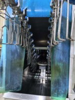 Machines modernes en acier pour l'épluchage et l'échaudage automatique des poulets pour les fermes, les restaurants et les abattoirs