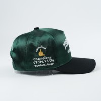Casquette de baseball sport personnalisée à 5 panneaux de style vintage avec logo brodé Image sportive en tissu commun