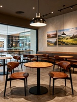 Ensemble de chaises de salle à manger en bois de luxe pour la maison, le commerce, le salon, la villa, l'hôtel, les banquets, les cafés et les restaurants