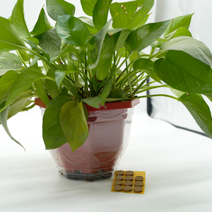 Chống trầy xước bảo vệ sàn die-cut kích thước khác nhau tự dính cảm thấy Pad Ghế chân bàn ghế sofa chân đồ nội thất miếng đệm - Product Image 3