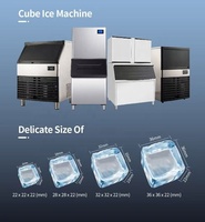 Machine à glaçons électriques commerciale Wintop, production quotidienne de 130 kg, stockage de 45 kg, acier inoxydable, double refroidissement, pompe de remplissage automatique