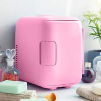 Réfrigérateurs mini-frigos thermoélectriques portables 12V pour cosmétiques, fournisseur