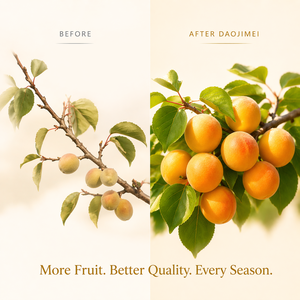 <span class=keywords><strong>Engrais</strong></span> pour arbres fruitiers en poudre hydrosoluble Apricot Special High P-K avec 30% de matière organique et libération rapide - Product Image 6
