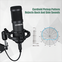 Kit de Microphone Condensateur USB Professionnel pour PC ou Ordinateur Portable, Micro Cardioïde pour Enregistrement, Diffusion, Home Studio, Gaming, YouTube