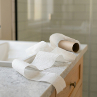 Rouleaux de papier toilette écologiques, résistants et doux, multi-couches, gaufrage personnalisé, fabricant en gros, Chine