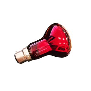 הסמכה איכות אמין 60w b22 220-240w זוחל אדום אור נורה אור חום דו-חיים, חסרי חוליות - Product Image 3