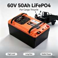 Batterie au phosphate de fer et de lithium 64V 50Ah/100Ah/150Ah LiFePO4 avec BMS intelligent intégré, pack haute capacité et durable pour tricycle électrique