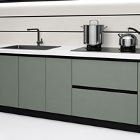 Système d'armoires de cuisine modernes sur mesure, sans poignées, en panneaux de mélamine vert sauge, porte en verre, étagère flottante LED, rangement en acier inoxydable