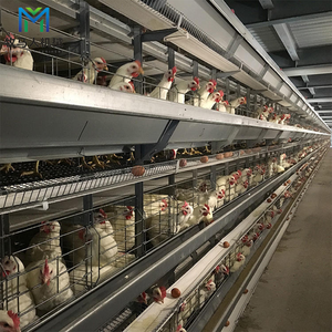 Nouvel équipement d'élevage avicole pour la production d'œufs : Cage anti-déformation pour poules pondeuses, adapté à l'inspection en usine et à la création <span class=keywords><strong>de</strong></span> nouvelles entreprises avicoles - Product Image 5