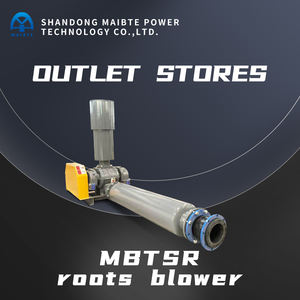 Soplador de Raíces de Tres Lóbulos MAIBTE de Alta Presión, Bomba de Vacío Rotativa Industrial Eléctrica AC 380V, Hierro Fundido OEM, 1 Año de Garantía - Product Image 6