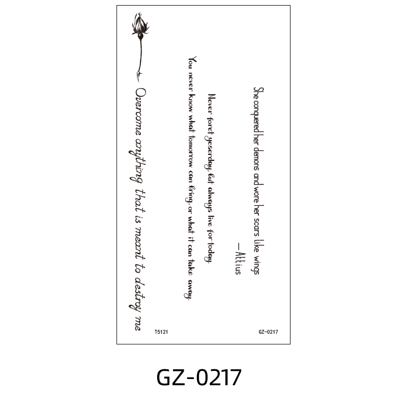 GZ-0217