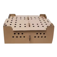 Bas Prix, Boîte de Transport en Carton Respirante et Portable pour Poussins d'Un Jour