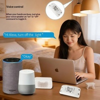 Disjoncteur intelligent Tuya exclusif transfrontalier 10A 250V, interrupteur WiFi avec minuterie à distance via application mobile, commande vocale Alexa, IP20