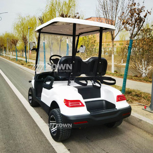 Carrito de Golf 2026, Carrito para Campo de Golf, Diseño Nuevo, Tracción en las 4 Ruedas, Carrito de Golf Eléctrico con Toldo y Cinturón de Seguridad, Certificado CE - Product Image 5