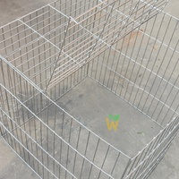 Cages robustes pour coqs de combat de 70 x 70 cm