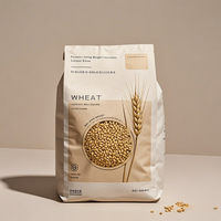 Matériau spécial personnalisé papier kraft pochette debout scellée à huit côtés sac de grain de riz avec poignée portable