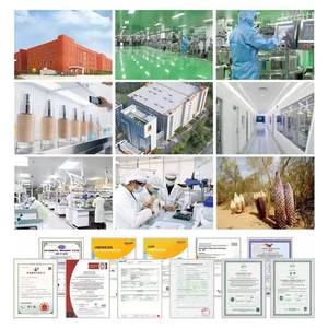 Großhandel Delay Spray Langlebige Höhepunkt Zeit Verlängern Ejakulation Männliche Verzögerung Lange Zeit Sex Öl für Männer Fabrik Direkt vertrieb - Product Image 6