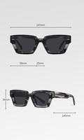 Vente en gros de lunettes polarisantes à petite monture en acétate 2024 Lunettes de soleil à plaque épaisse pour hommes et femmes Lunettes de soleil de luxe de créateur