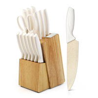 Couteau de Chef de Cuisine Droitier Écologique de Qualité Supérieure en Acier Inoxydable Professionnel avec Manche Coloré en Plastique PP