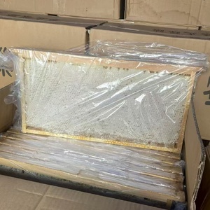 <span class=keywords><strong>Miel</strong></span> en combles de haute qualité, pur, non transformé, comestible, <span class=keywords><strong>prix</strong></span> en gros - Product Image 6