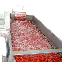 Automatische groente- en fruit snij-, was- en drooglijn, productielijn voor het verwerken van saladegroenten