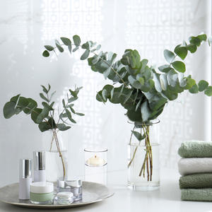 Juego <span class=keywords><strong>de</strong></span> <span class=keywords><strong>floreros</strong></span> <span class=keywords><strong>de</strong></span> cilindro transparente <span class=keywords><strong>para</strong></span> <span class=keywords><strong>mesa</strong></span>, jarrones modernos <span class=keywords><strong>de</strong></span> cristal <span class=keywords><strong>para</strong></span> <span class=keywords><strong>centro</strong></span> <span class=keywords><strong>de</strong></span> boda, decoración del hogar, 3, 15cm, 20cm, 25cm - Product Image 2