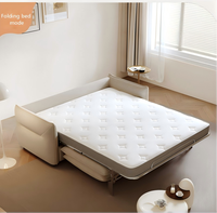 Canapé-lit convertible multifonctionnel pour hôtel et appartement, avec matelas, cadre en fer pliable, canapé-lit double usage