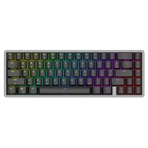 מפעל סיטונאי RGB Altra Slim אמיתי מכאני מקלדת אלומיניום למעלה כיסוי + CNC הזרקה כפולה keycaps 67 מפתחות