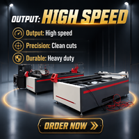 Découpeuse laser CO2 industrielle 300W avec structure de type portique