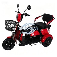 Quadricycle électrique léger pour usage domestique, carrosserie ouverte, 50-70 km/h, autonomie de 90 km, sécurité fiable pour les trajets quotidiens en famille
