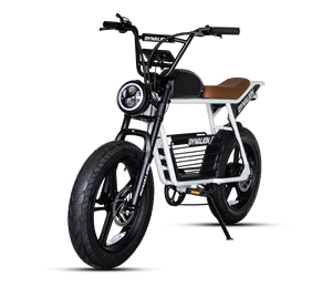 Vente directe d'usine Vélo électrique à pneus larges de 20 pouces à longue portée Vélo électrique <span class=keywords><strong>Quad</strong></span> électrique Vélo électrique pour adultes - Product Image 1