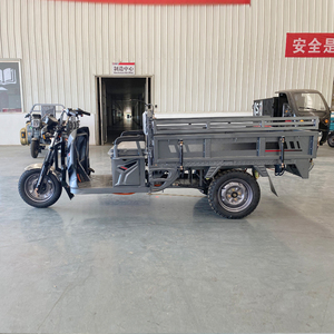 E-Trikes 3 Wheel Cargo Electric Tricycles Motorcycle Three Wheel Adult Cargo Tricycle With Passenger Seat and Open Cargo <b>Box</b> - Product Image 5