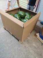 Boîte en carton extra large, boîte à fruits pour pastèque, boîte en papier kraft robuste et stable