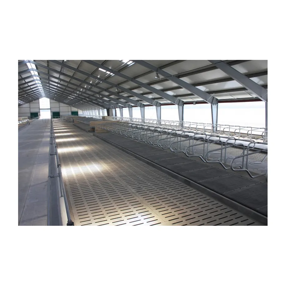 Easy established steel structure cow farm building steel structure cow dairy farm for sale