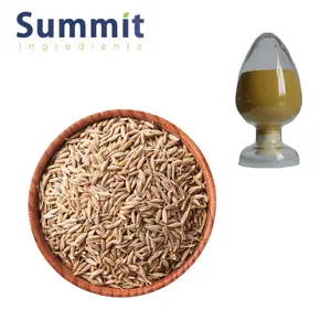 High Quality Black Cumin Seed Extract Cumin Powder Cumin Seed Powder