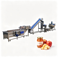 Productielijn voor fruitconserven en jam, inclusief zak-in-doos vulmachine, kook-, meng- en verzegelmachine voor bulkvoedselvoorziening.