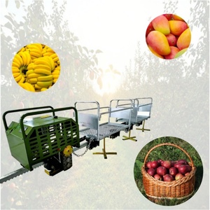 Transporte Monorraíl Eléctrico con Sistema de Engranajes - Product Image 4