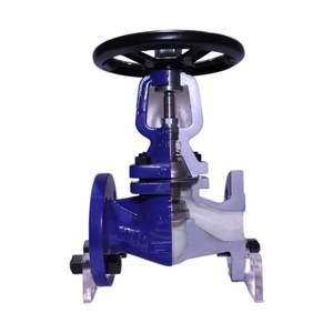 Drucken tlastungs station mit umgekehrtem Eimer Dampffallen-Druck reduzier ventil Y-Sieb Dampf abscheider Faltenbalg-Absperr ventil - Product Image 5